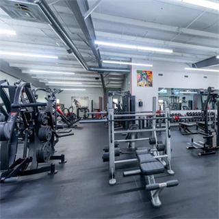 Wellness Elite Fitness